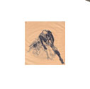wop_05