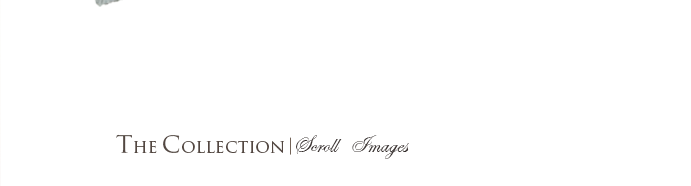 collection_scroll